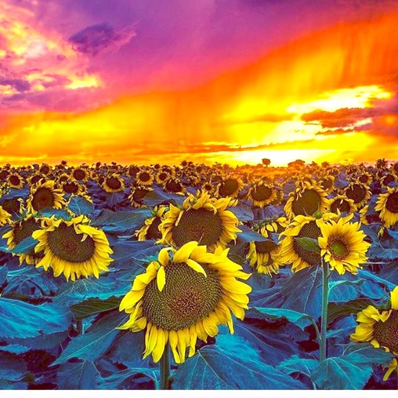 John 3:16 - Picture 1 of 1